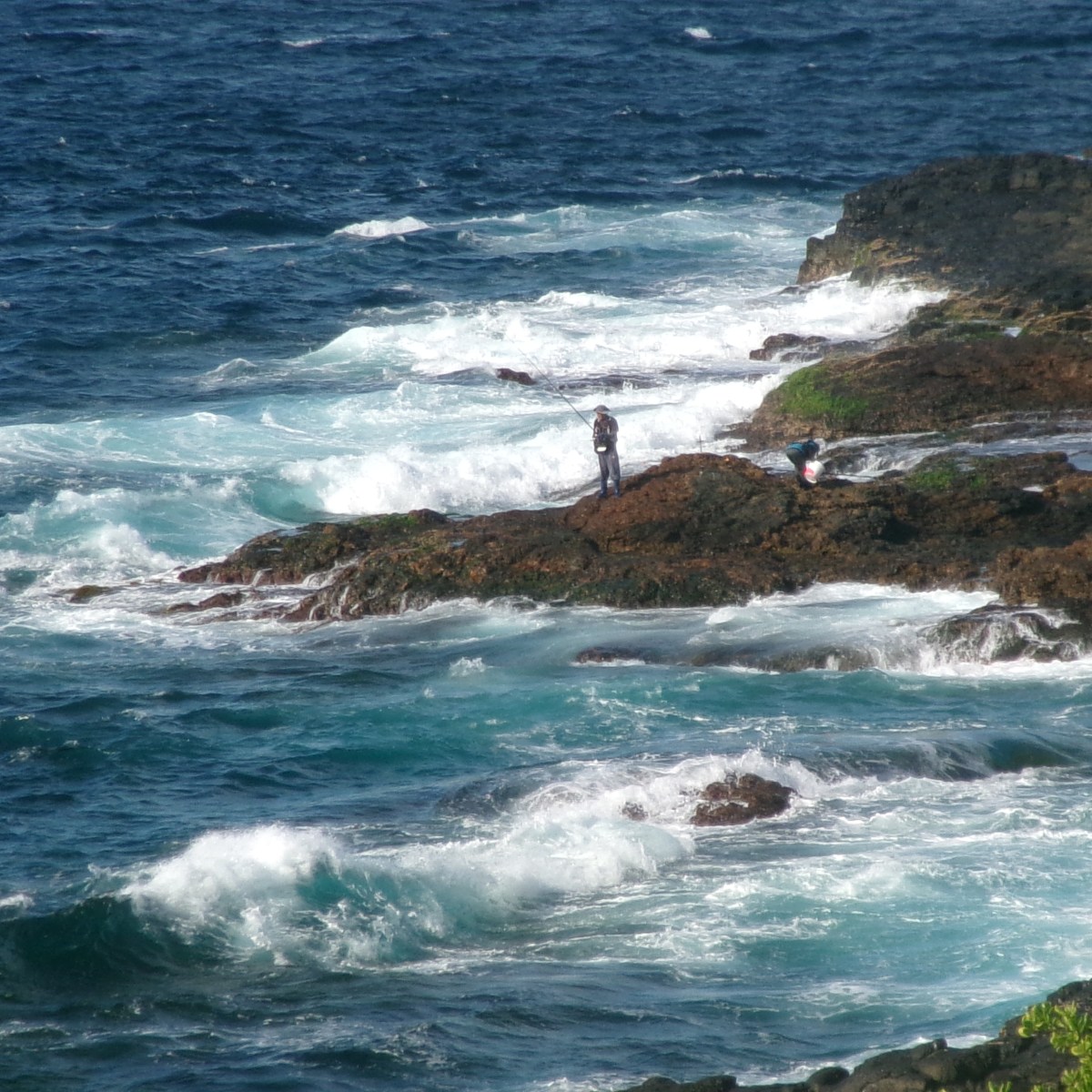 the beginning of a book I’ll never&nbsp;finish